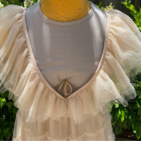 Show Me Your MuMu Miranda Dress Sparkle Dust Tulle - Picture 10 of 12